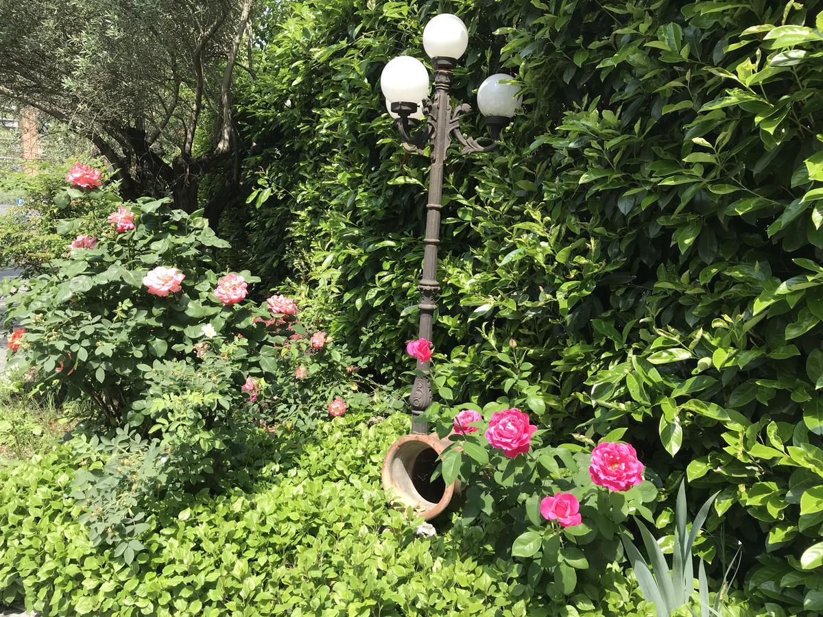 Villa Donatella Parma Esterno foto